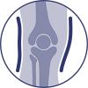 Immobilizzazione