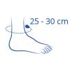 Dimensione della caviglia 25 - 30 cm